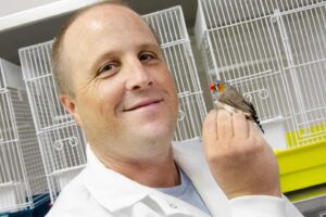 Lynn (Marty) Martin, an associate professor in the University of South Florida’s Department of Integrative Biology, holds a zebra finch. ©University of South Florida/USF Health