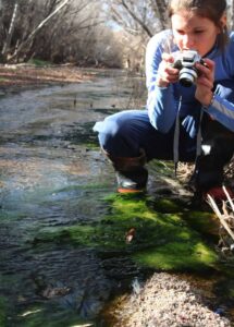 Savage photographs frogs in a pond. ©Dennis Caldwell 