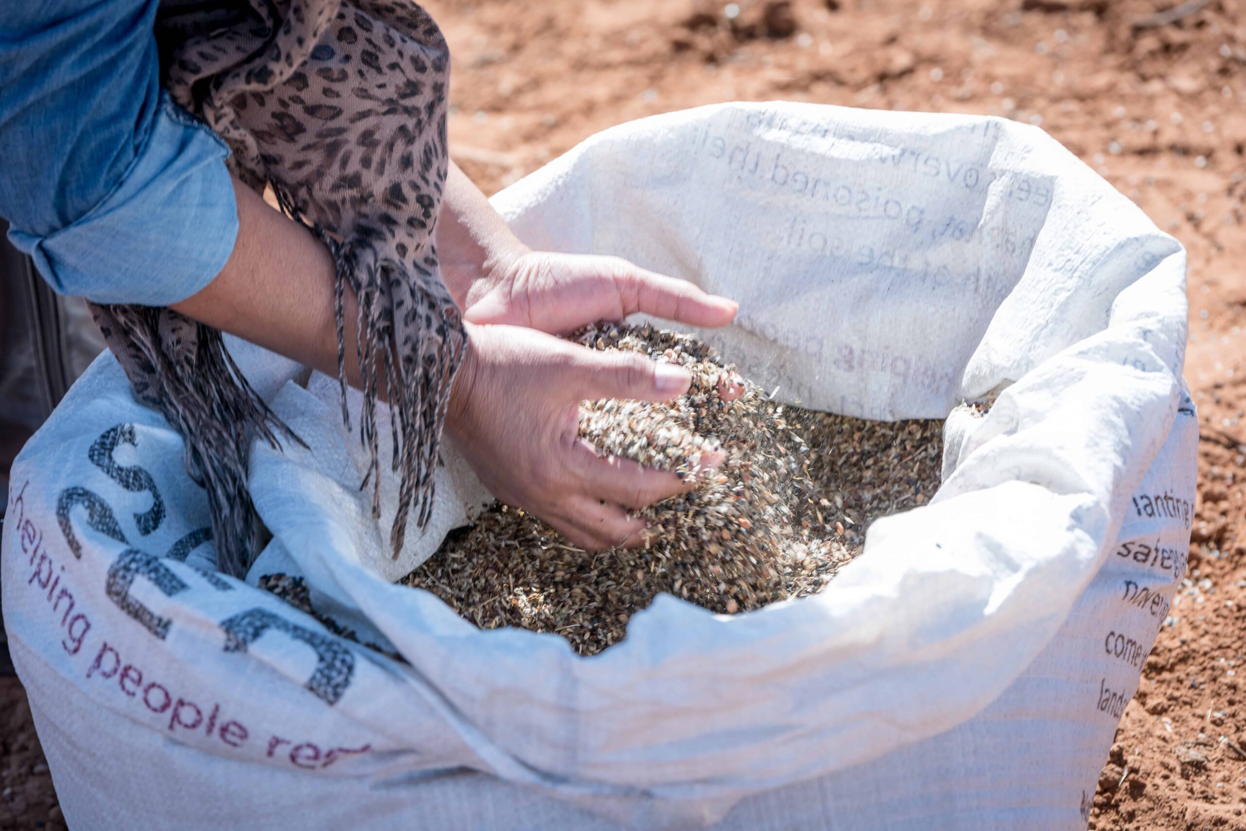 conservation-restoring-resources-for-pollinators-2