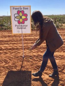 conservation-restoring-resources-for-pollinators-3