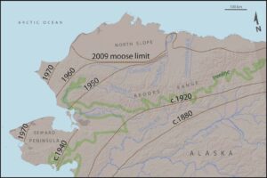 This image shows changes in moose distribution (dashed lines) in northern Alaska since 1880. Shrub plots were distributed along the Chandler and Colville Rivers (orange ellipse), and temperature records were derived at two locations therein (gray dots). The green line represents the tree line. ©Tape et al.