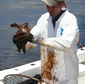 Researcher Blair Witherington with a Kemp’s ridley sea turtle. ©NOAA/FWCC 