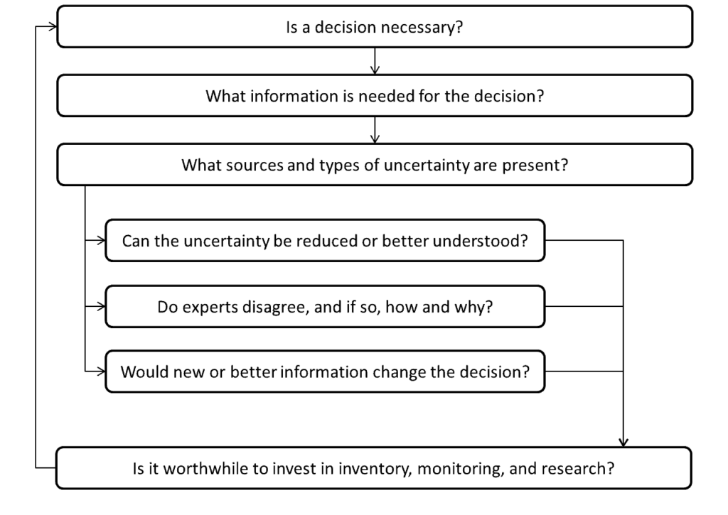 This flow chart shows some key questions about uncertainty in risk management. Effectively addressing uncertainty in decision making requires managers to invest considerable time and effort to understand the uncertainties they face, how those uncertainties might affect decisions and whether additional investments of resources to reduce uncertainty are warranted.