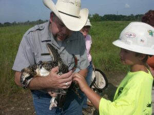 The author, Brian Washburn, holds a fledgling osprey after fitting it with a backpack style harness attached to a GSM/GPS transmitter. A young birding enthusiast and potential future wildlife professional gets a first-hand experience with this raptor before it is released. Image Credit: Alexa Martinez 