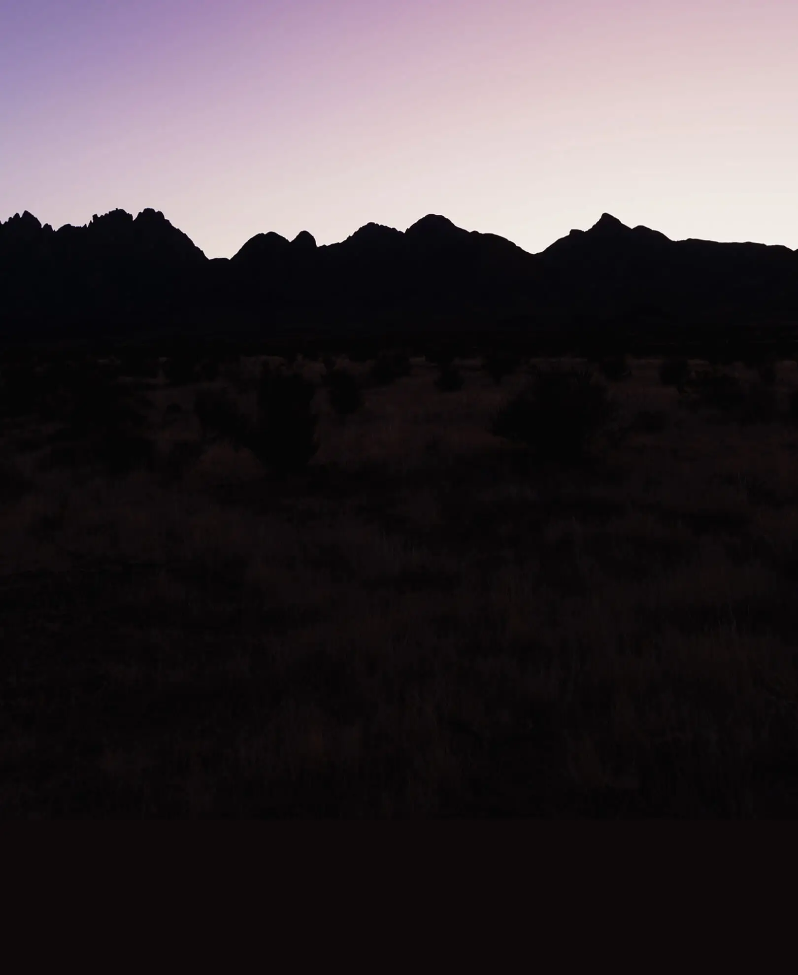 A dark mountain ecosystem silhouetted against a pink sky