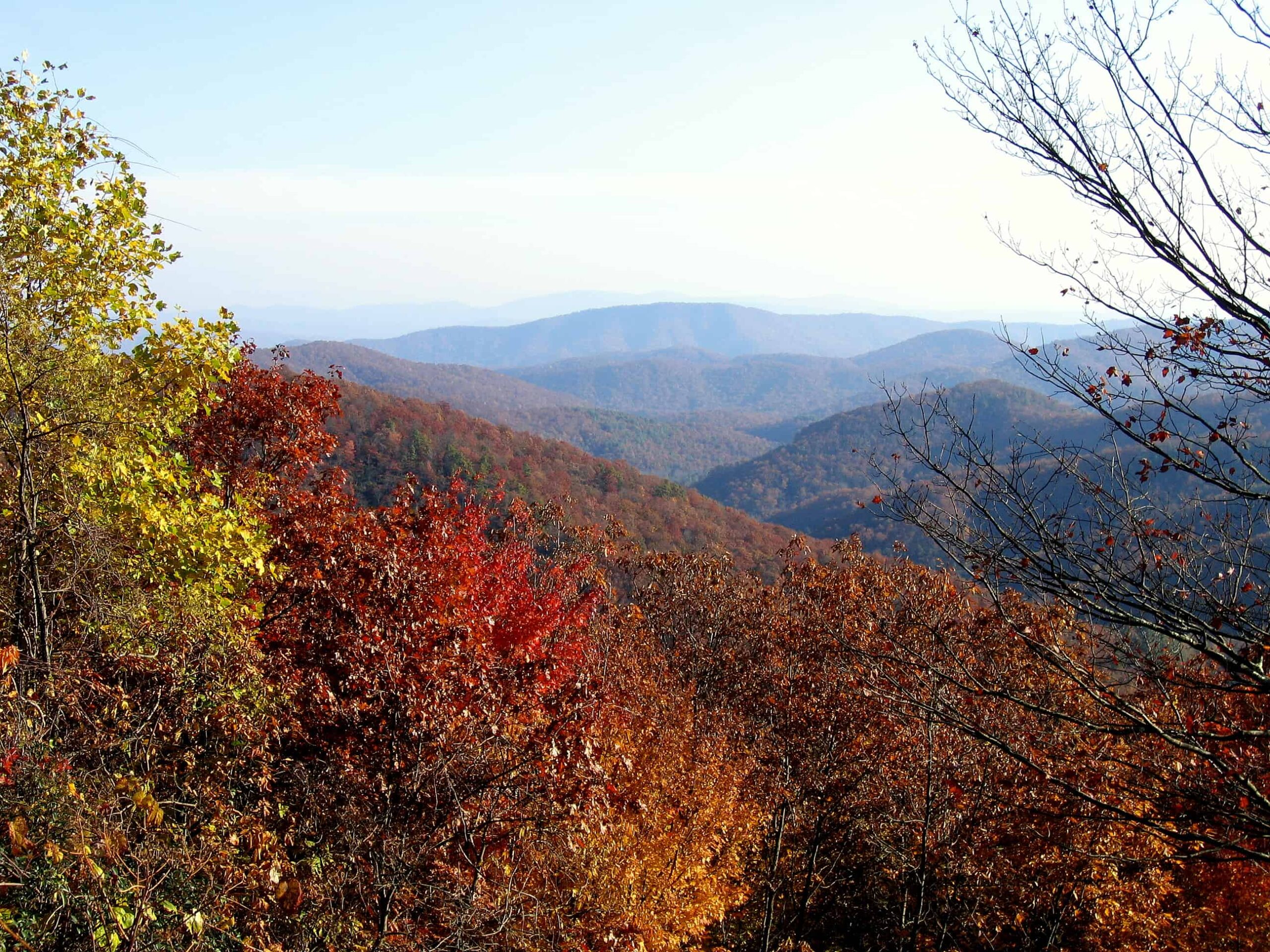 The Blue Ridge Parkway provides unique opportunities for viewing colorful fall landscapes in Western North Carolina. ©Lori Williams