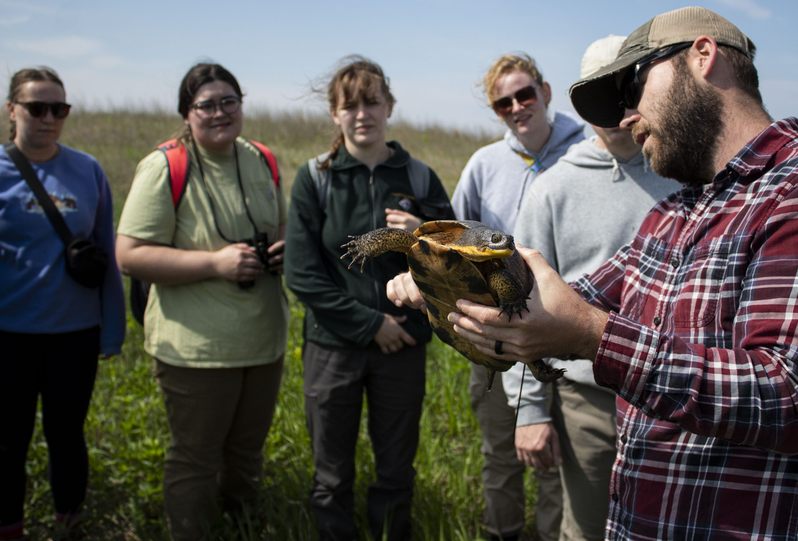 Blanding's Turtle Research