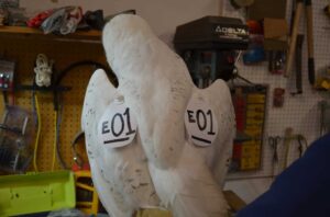 ©USDA Wildlife Services