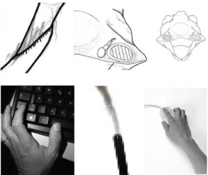 Complete image from above. Image Credit:  Giuseppe Montesanto