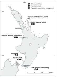 The current distribution of hihi birds on the North Island of New Zealand. ©Julia Panfylova