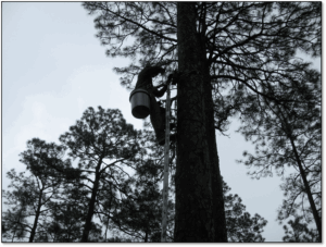 Derek Colbert changes batteries in an autonomous recorder. ©Meg Streich