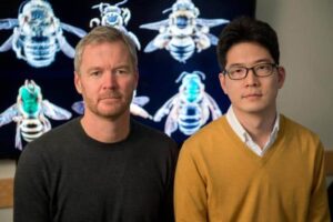 A research team led by Insu Koh (right) and Taylor Ricketts, bee experts at the University of Vermont's Gund Institute for Ecological Economics, estimates that wild bee abundance between 2008 and 2013 declined in 23 percent of the contiguous US, potentially threatening US crop production. ©Sally McCay, UVM