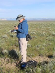 Sagebrush sampling