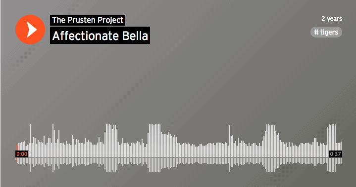 Screen Shot 2015-11-04 at 2.10.47 PM