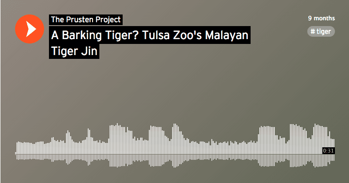 Screen Shot 2015-11-04 at 2.13.47 PM