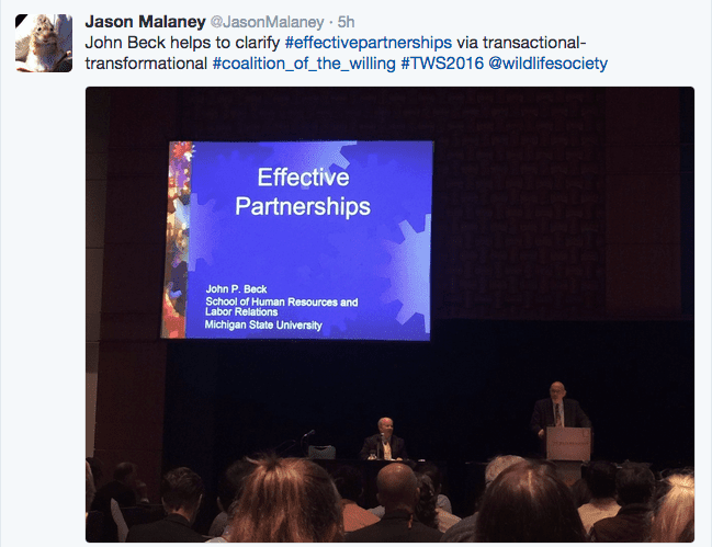 screen-shot-2016-10-16-at-3-16-12-pm