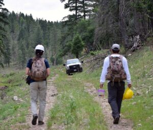Author Serra Hoagland, a member of the Pueblo of Laguna, and Chase Voirin, a member of the Navajo tribe, return from a survey of Mexican spotted owls (inset) on the Mescalero Apache Indian Reservation. ©Elisha Flores