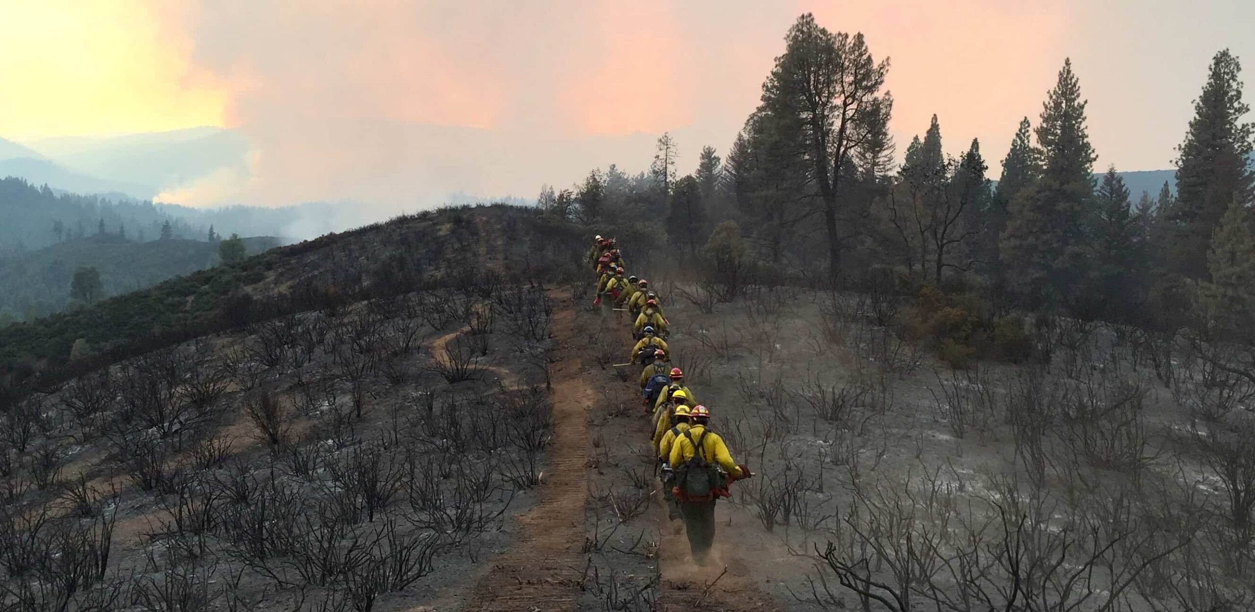 At 894,552 hectares, Shasta-Trinity National Forest in Northern California is the largest in the state. Here a multi-agency hand crew from Alabama and Georgia National Forests head out to build firebreaks in the Fork Complex during a wildfire in August 2015. ©Micah Thorning, USFS