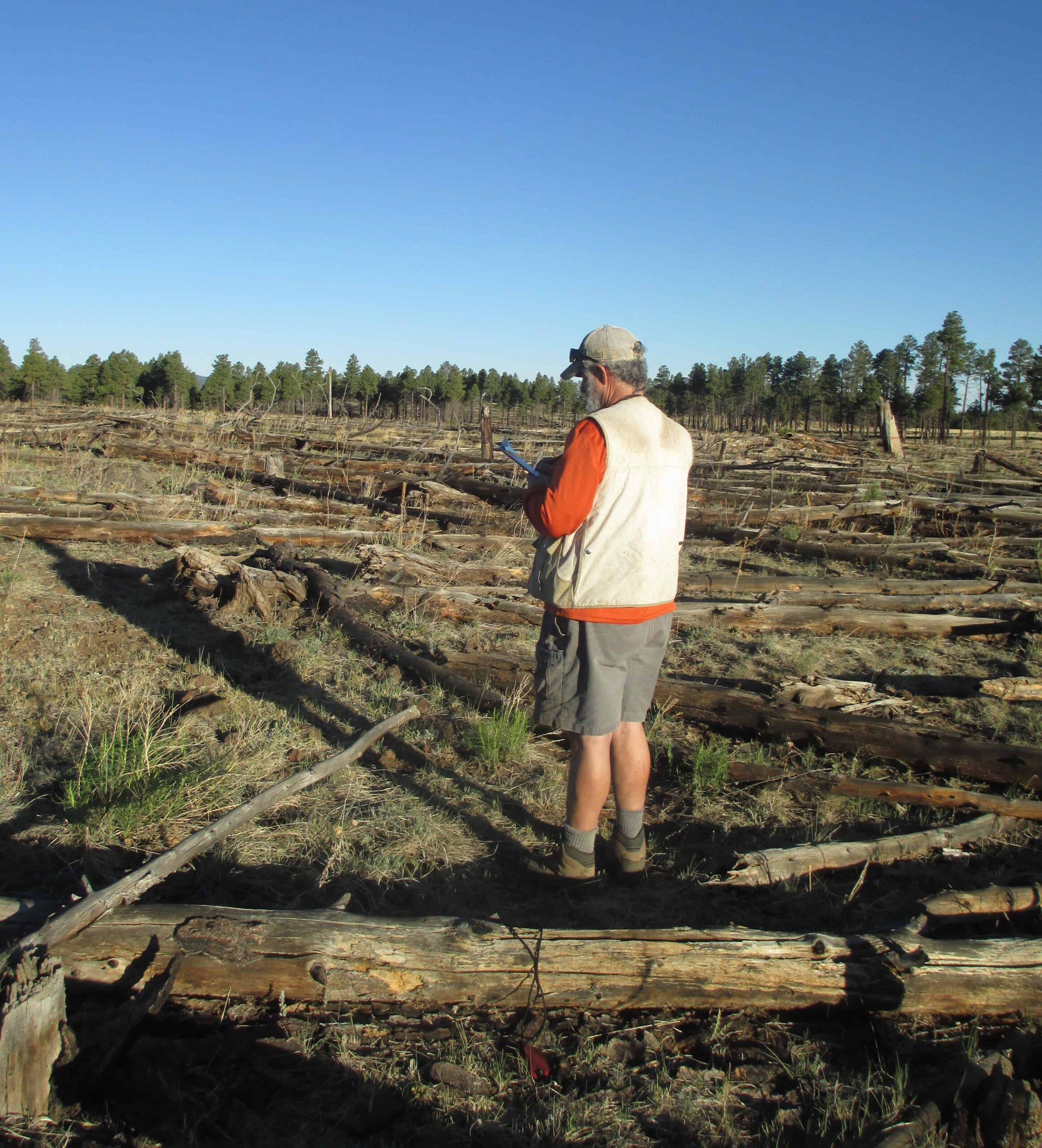 Bill Block, wildlife program leader for the Rocky Mountain Research Station conducts bird point-counts 17 years following the 1996 Horseshoe/Hochderffer fires in Arizona’s Coconino National Forest. The study aims to evaluate long-term effects of wildfire on bird community structure in ponderosa pine forests of northern Arizona. ©Jean Block