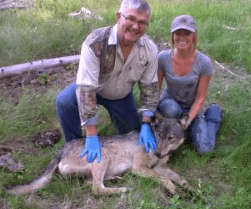 tws-news-kleberg-messmer-2