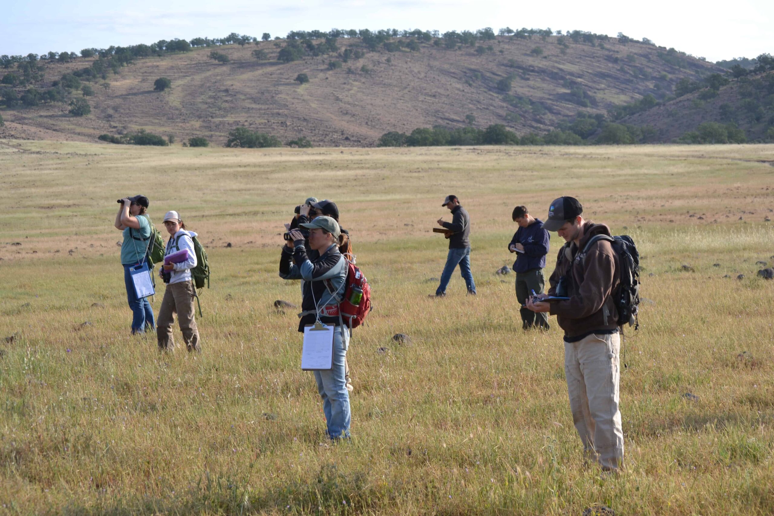 Biologists training with Point Blue Conservation Science. Image Courtesy: Point Blue Conservation Science