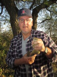 Smith’s bush squirrel