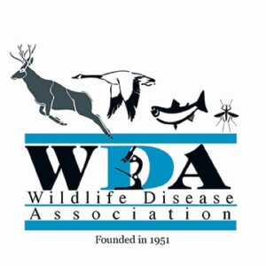 WDA