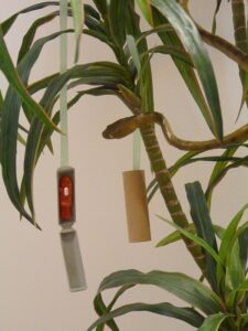 Aerial snake in tree