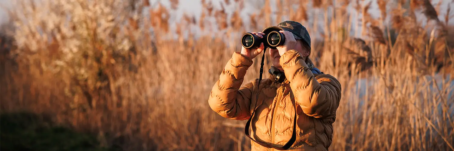 Wildlife Biologists in field of tall grass at sunset looking through binoculars