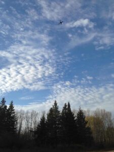 On a completely autonomous mission, the UAV flies toward the location of a collared bear in northwestern Minnesota. Image credit: Jessie Tanner