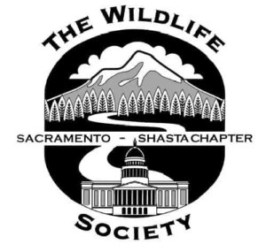 sacshasta_logo