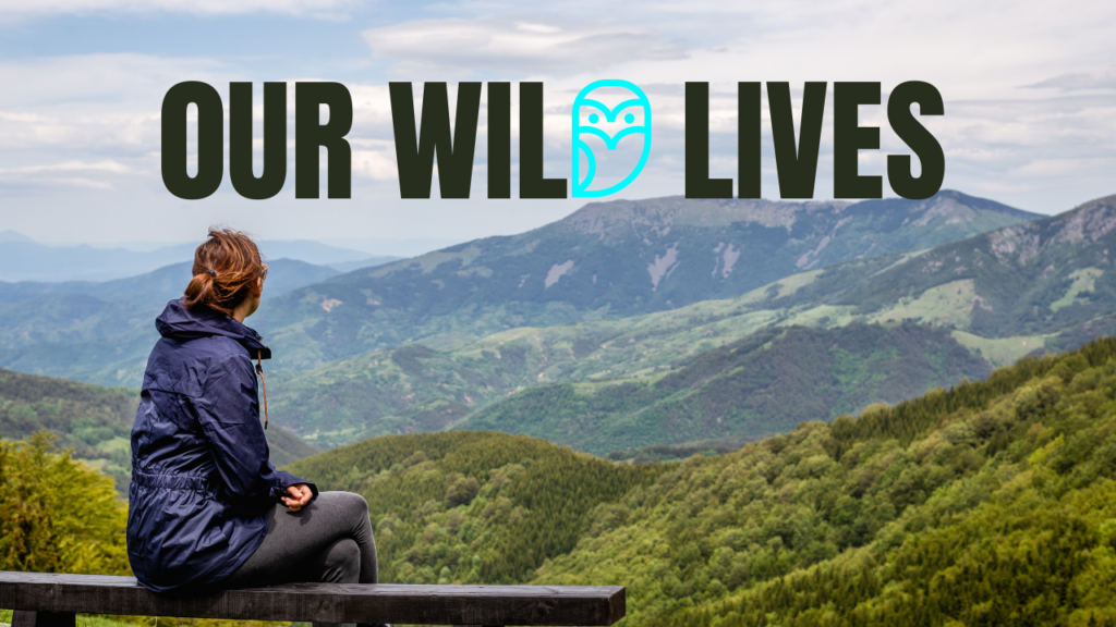 A woman sits on a bench and looks out over a vast landscape. Text reads "Our Wild Lives."