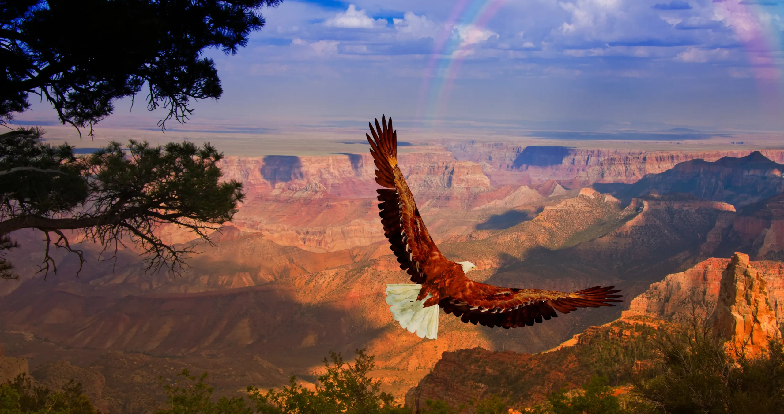 Bald eagle flying over a vast canyon landscape, symbolizing Native American cultural connections to wildlife, land stewardship, and conservation.