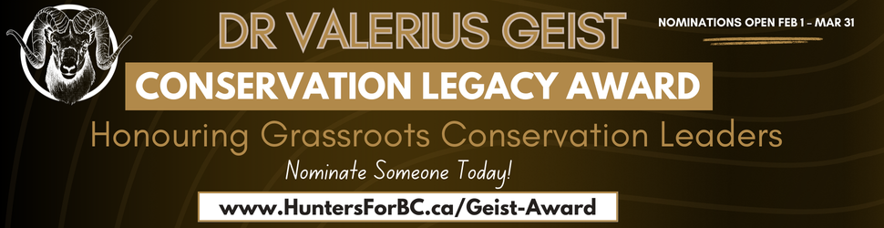 Banner ad for Val Giest Award